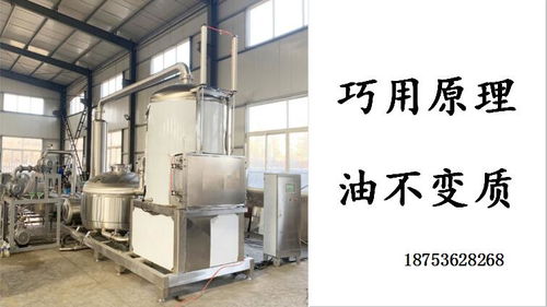 小魚(yú)小蝦真空油炸機(jī)自動(dòng)脫油油炸機(jī) 現(xiàn)代化食品加工設(shè)備的革新應(yīng)用